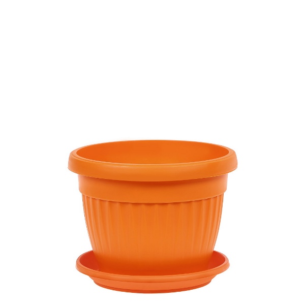 346027 Саксия Ребро Ф20 Оранж