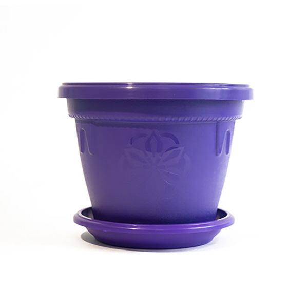 606055 1 Саксия Далия Ф12 Лилаво