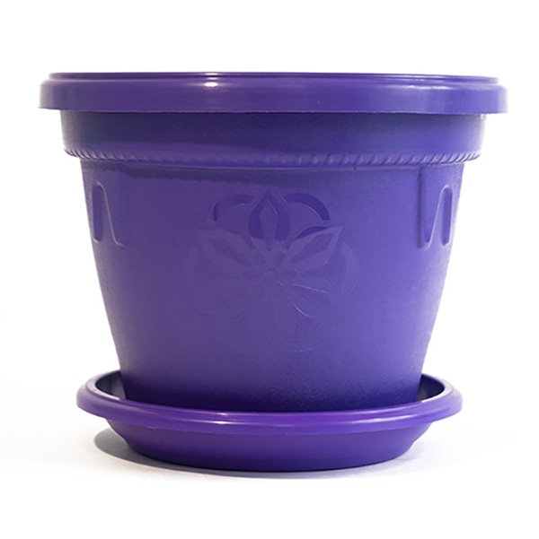 606090 1 Саксия Далия Ф30 Лилаво