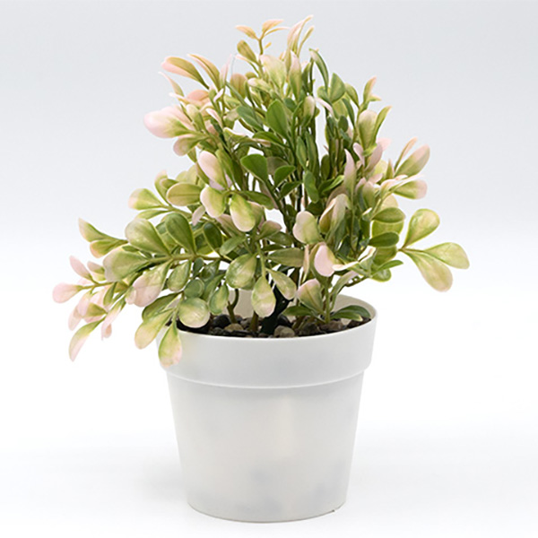 И107600 Икебана в саксия 14/18 см